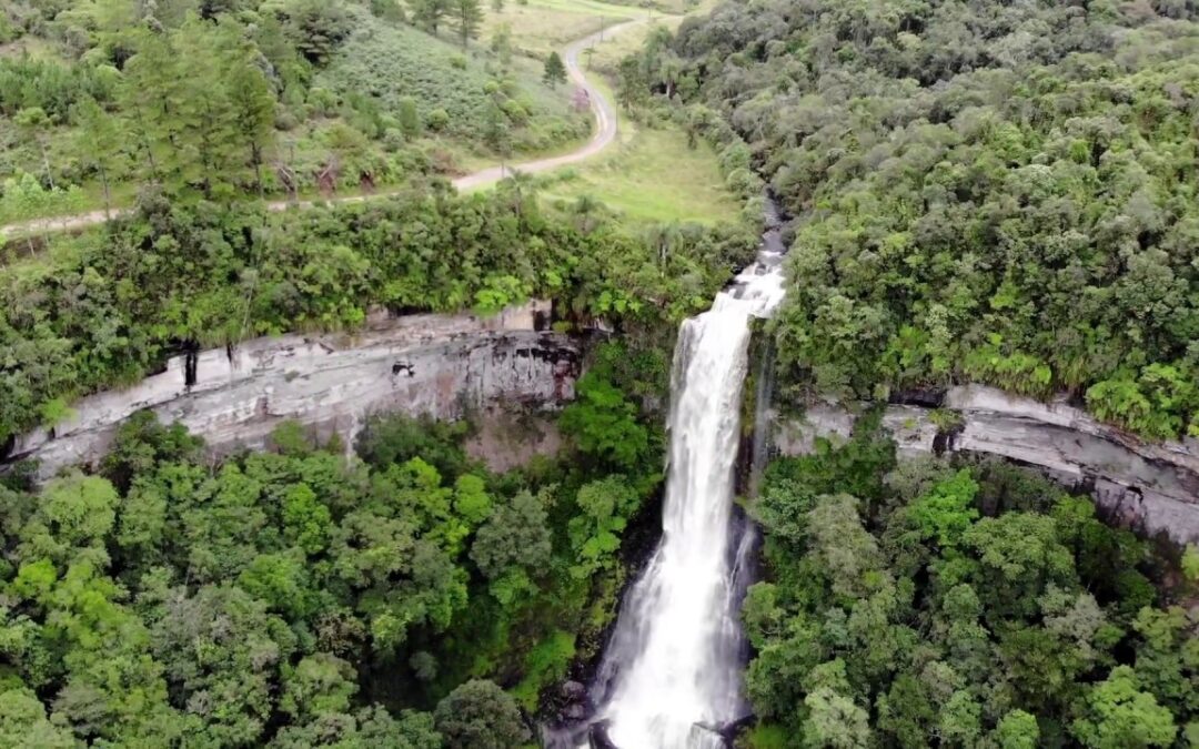 As Melhores Atrações em Benedito Novo – SC: Descubra a Natureza e a Cultura Local