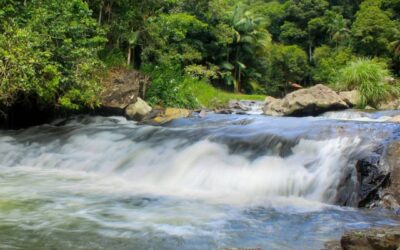 Descubra a Nova Rússia em Blumenau: Um Paraíso de Cachoeiras e Natureza