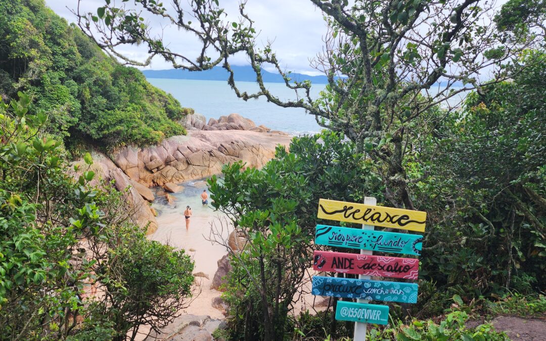 As 8 Melhores Praias de Santa Catarina: Um Guia Completo