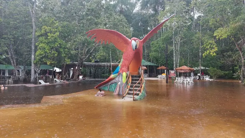 Conhecendo o Cirandeira Bela em Manacapuru