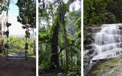 Trilha da Natureza em Pomerode