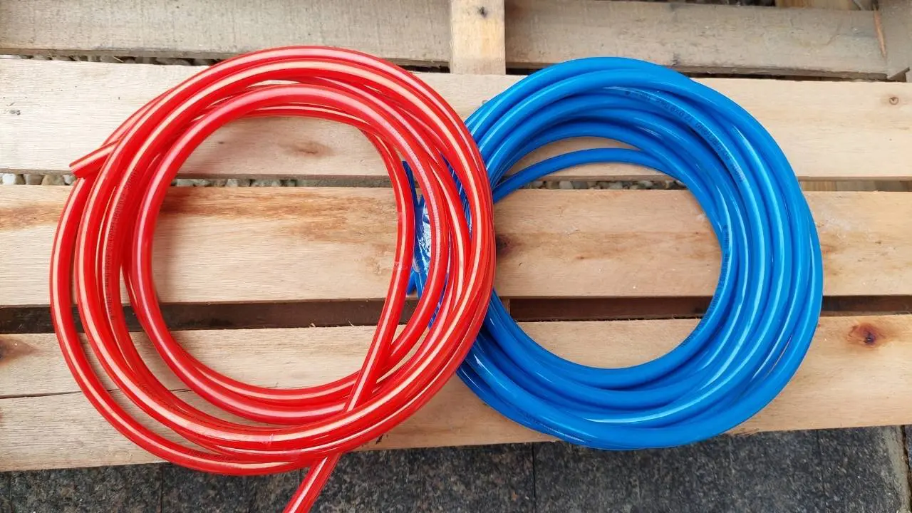 mangueiras • Rota dos Viajantes