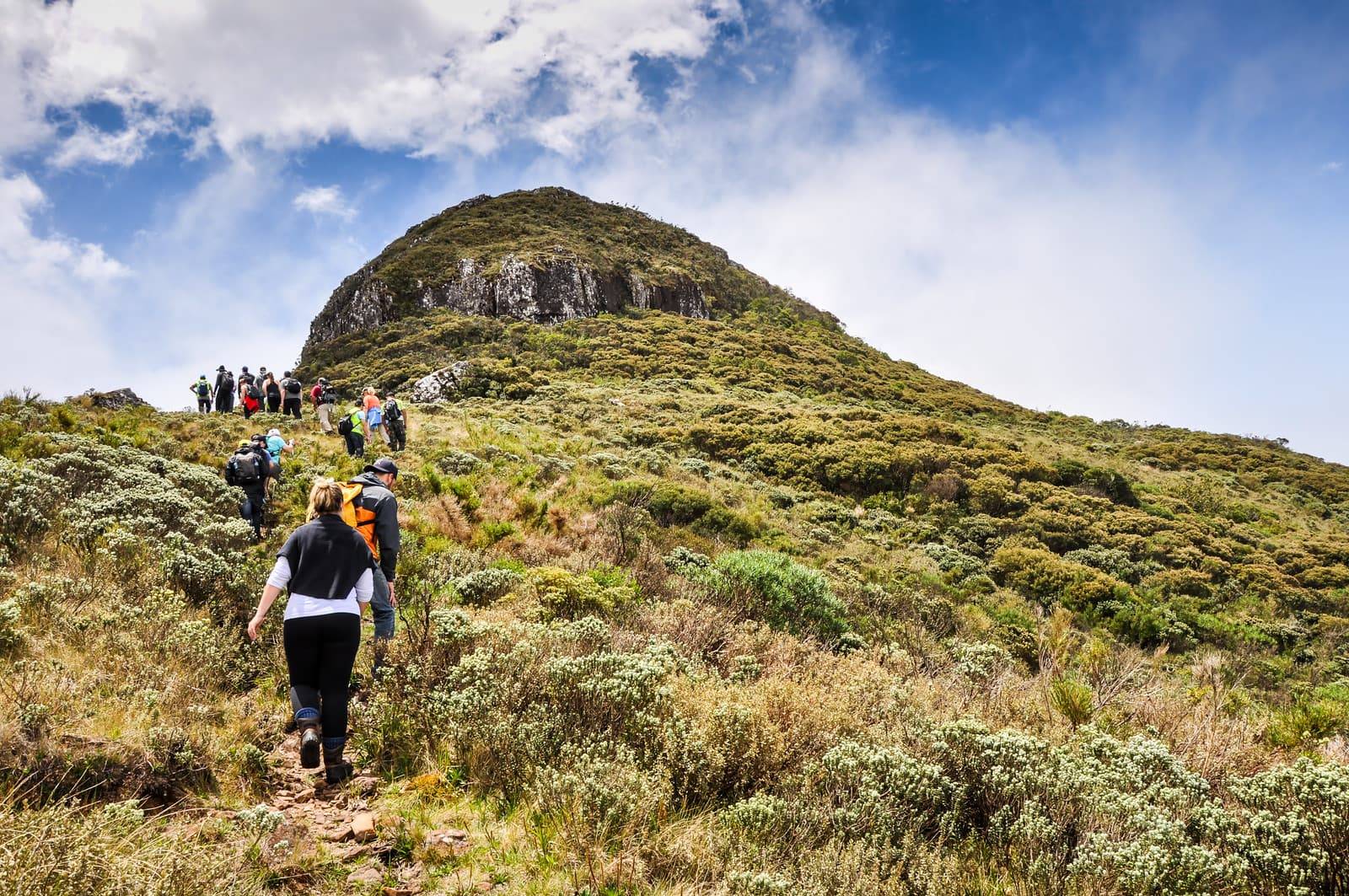 Trilha a caminho da Pedra Furuda em Urubici