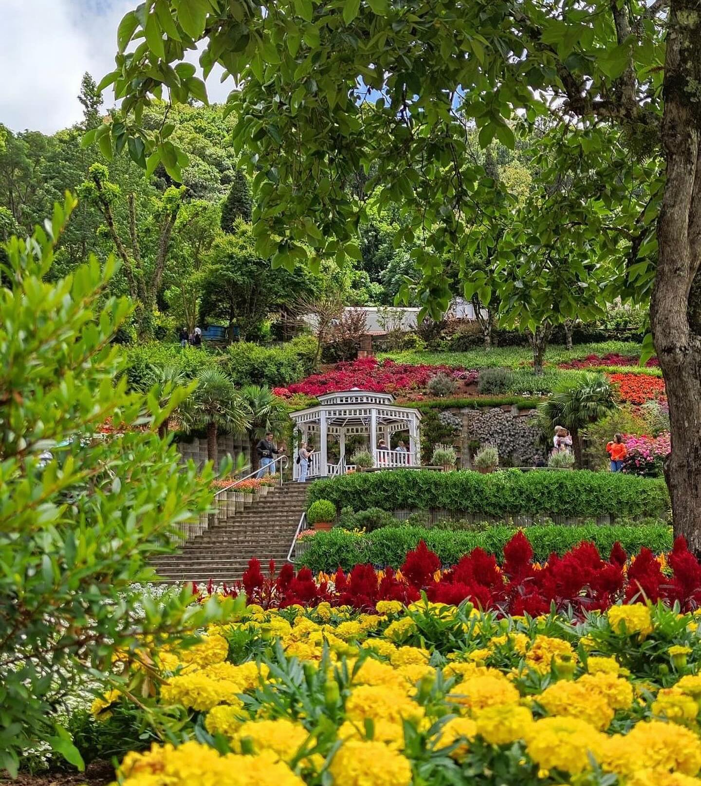 le jardin paque de lavanda gramado • Rota dos Viajantes