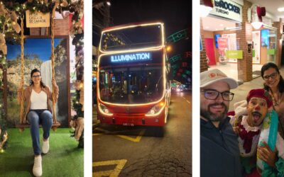 Planeje seu Roteiro de Viagem com Guias Completos 11 BusTour Illumination: Espetáculo em Gramado
