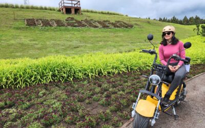 Planeje seu Roteiro de Viagem com Guias Completos 16 Mátria: Tudo o Que Você Precisa Saber Sobre o Parque de Flores