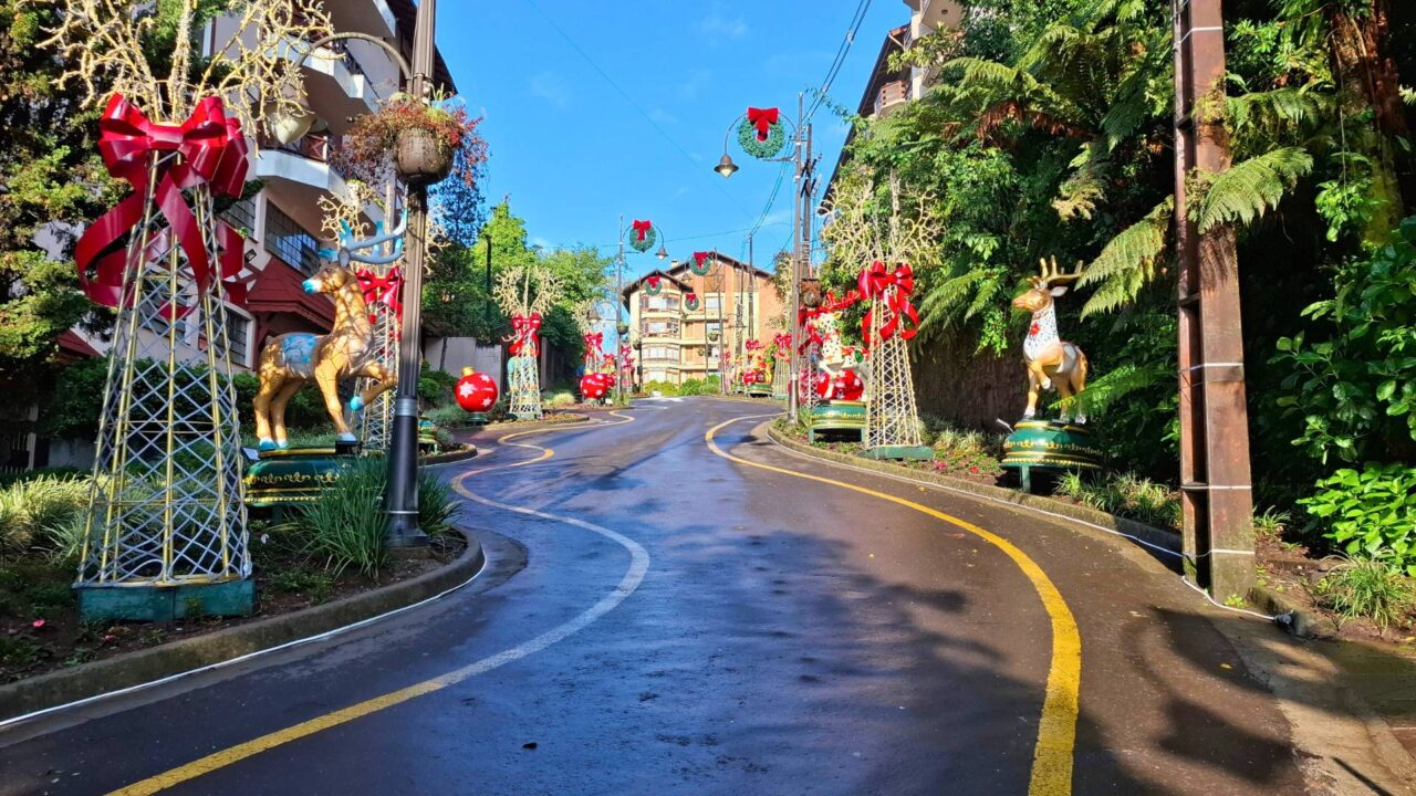 Natal Luz em Gramado e o Sonho de Natal em Canela: Um Guia Completo 1 rua torta natal luz gramado • Rota dos Viajantes