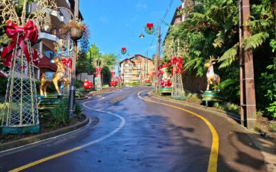 Planeje seu Roteiro de Viagem com Guias Completos 8 Roteiro na Serra Gaúcha: O que fazer em 7 Dias