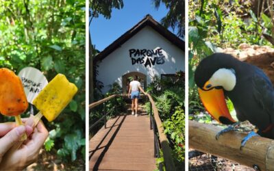 Planeje seu Roteiro de Viagem com Guias Completos 9 Roteiro de Viagem por Foz do Iguaçu: Descubra o que Fazer