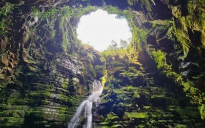 O que fazer em Ponta Grossa em 1 dia