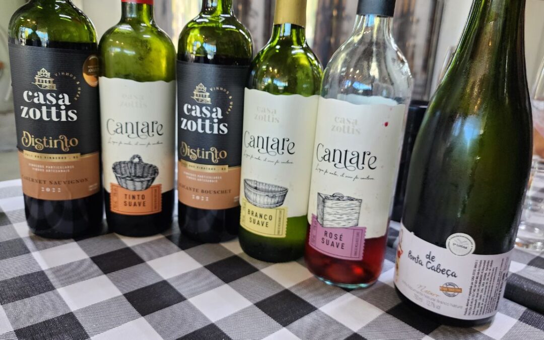Vale dos Vinhedos: roteiro de vinhos em Bento Gonçalves