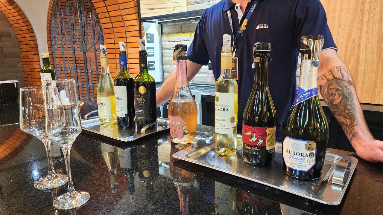 Vale dos Vinhedos: roteiro de vinhos em Bento Gonçalves 2 rotulos vinicola aurora