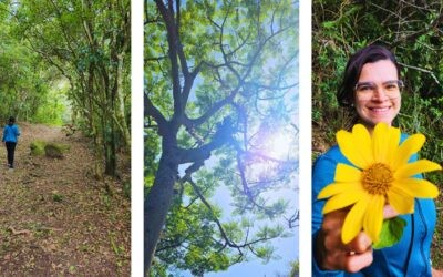 Planeje seu Roteiro de Viagem com Guias Completos 3 Como fazer a Trilha da Costa da Lagoa em Florianópolis