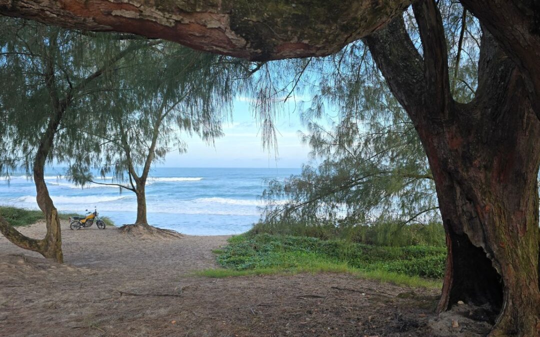 Praias de Florianópolis: o guia completo da ilha da magia
