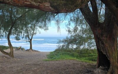 Praias de Florianópolis: o guia completo da ilha da magia