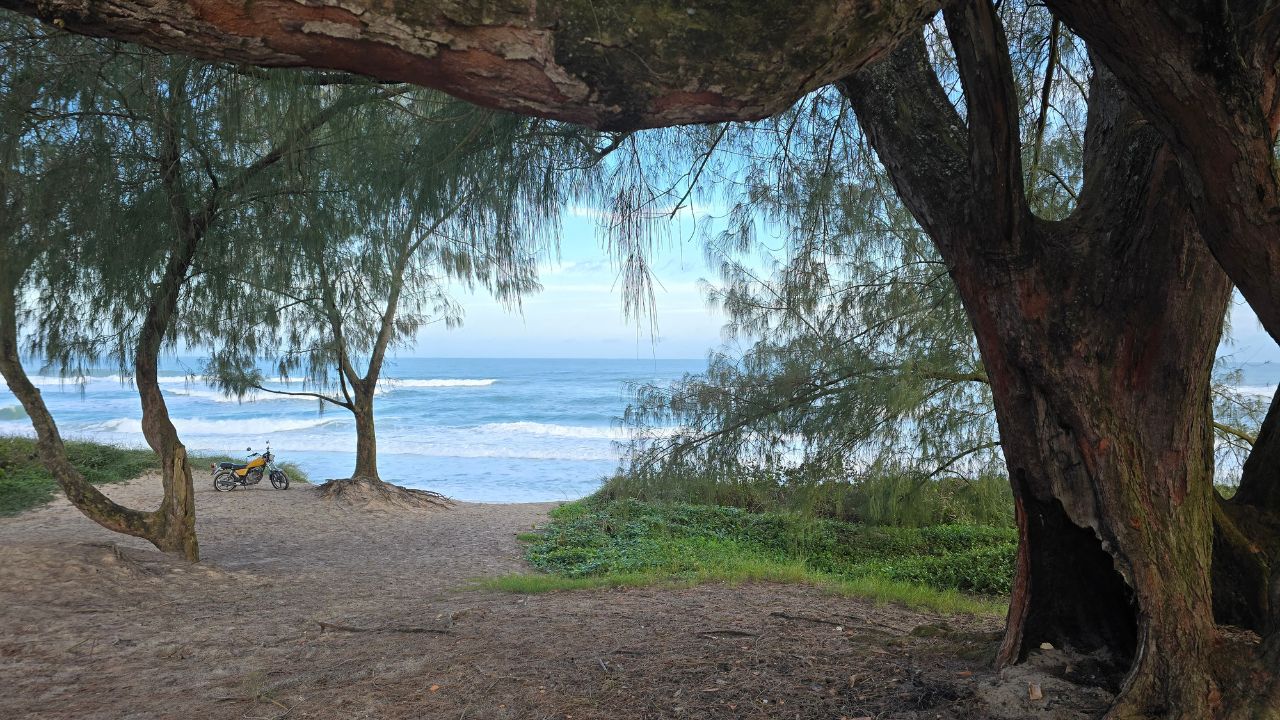 Praias de Florianópolis: o guia completo da ilha da magia Praias de Florianópolis: o guia completo da ilha da magia