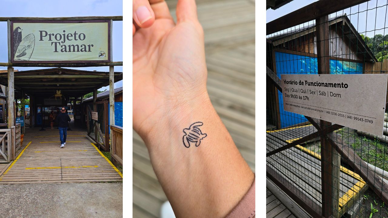 Projeto Tamar Florianópolis: o passeio que encanta adultos e crianças