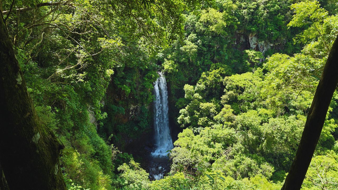 Atrações diferentes em Gramado para explorar além do óbvio 1 eco parque sperry