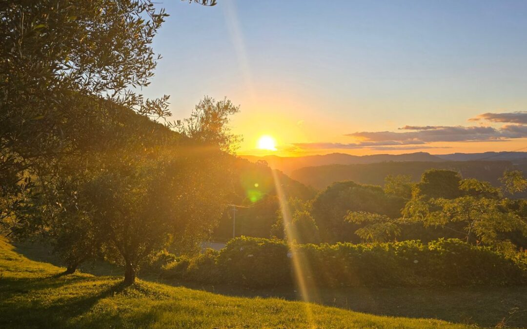 Olivas de Gramado: guia completo com valores e opinião sincera