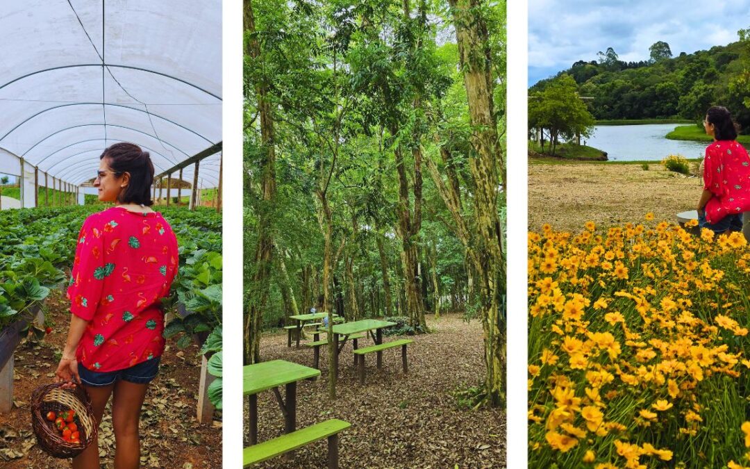 Turismo rural em Araucária nos Caminhos de Guajuvira