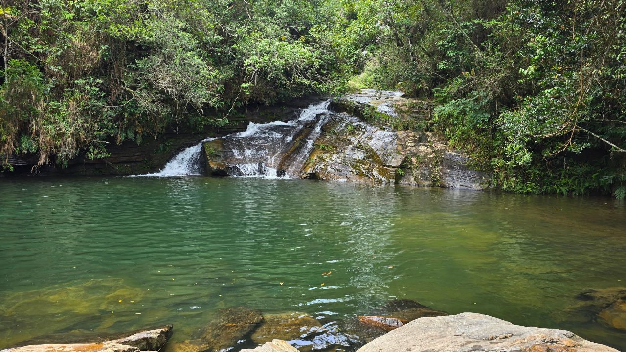 Carrancas