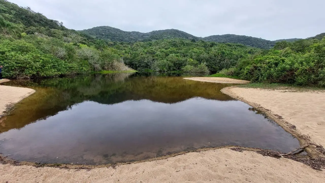 Trilha da Costeira de Zimbros em Bombinhas 5 Lagoa • Rota dos Viajantes