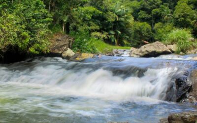 Nova Rússia em Blumenau: Cachoeiras e Natureza em SC