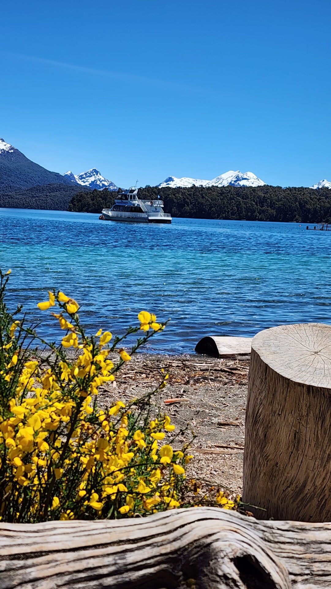 Patagonia Argentina Lago Barco scaled 1 &bull; Rota dos Viajantes