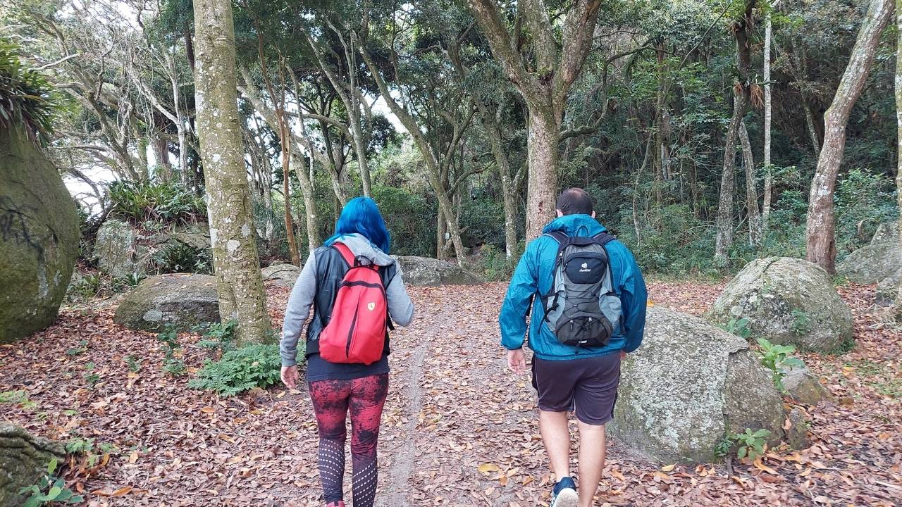 Trilha da Costeira de Zimbros em Bombinhas 3 arvores • Rota dos Viajantes