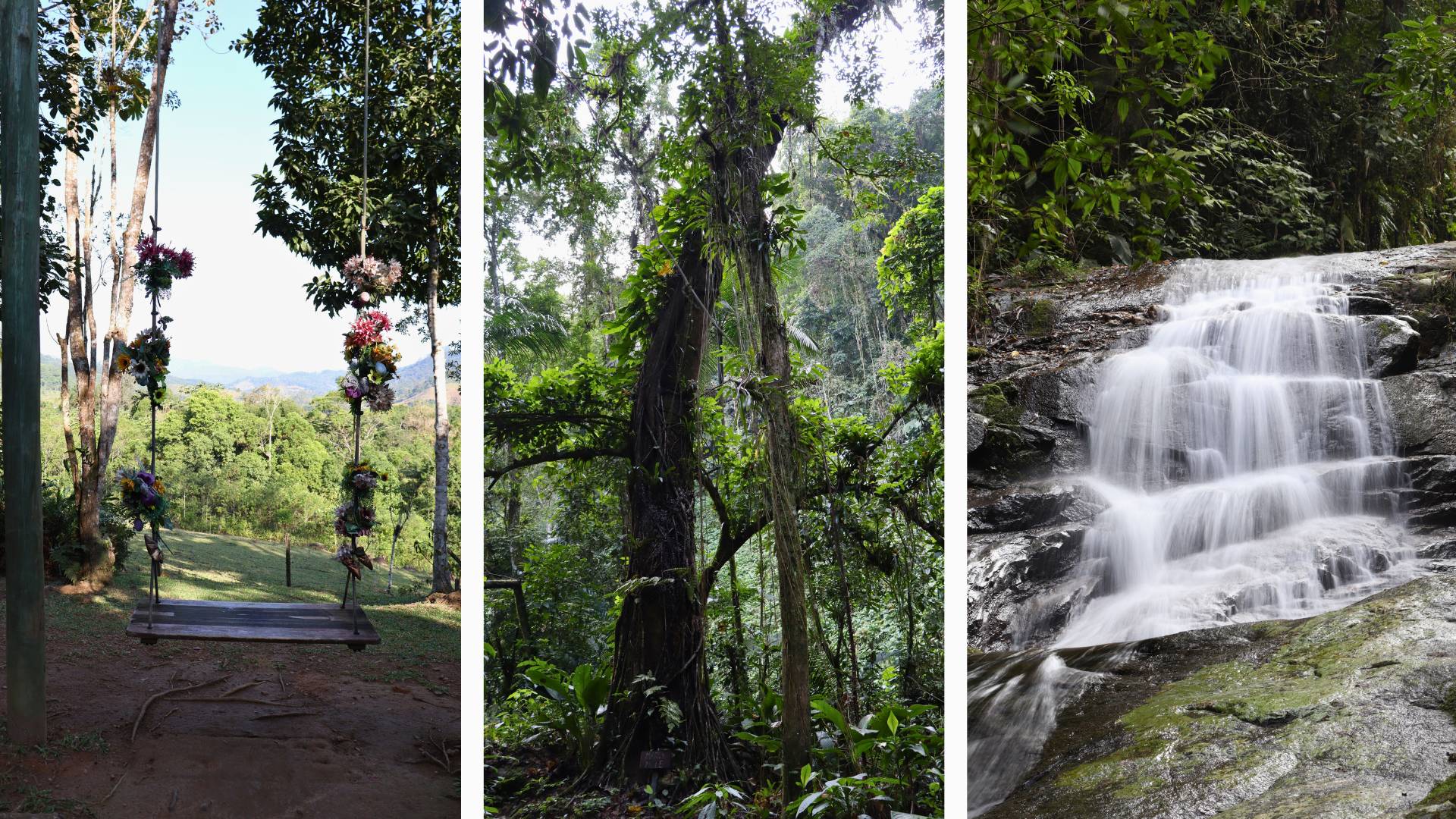 Trilha da Natureza em Pomerode Trilha da Natureza em Pomerode