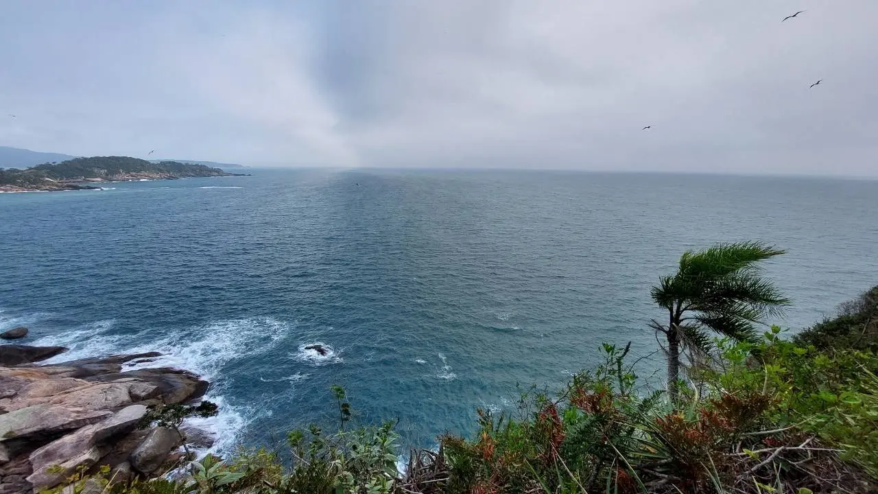Trilha de Quatro Ilhas até a Praia do Retiro dos Padres 6 caminho alternativo • Rota dos Viajantes