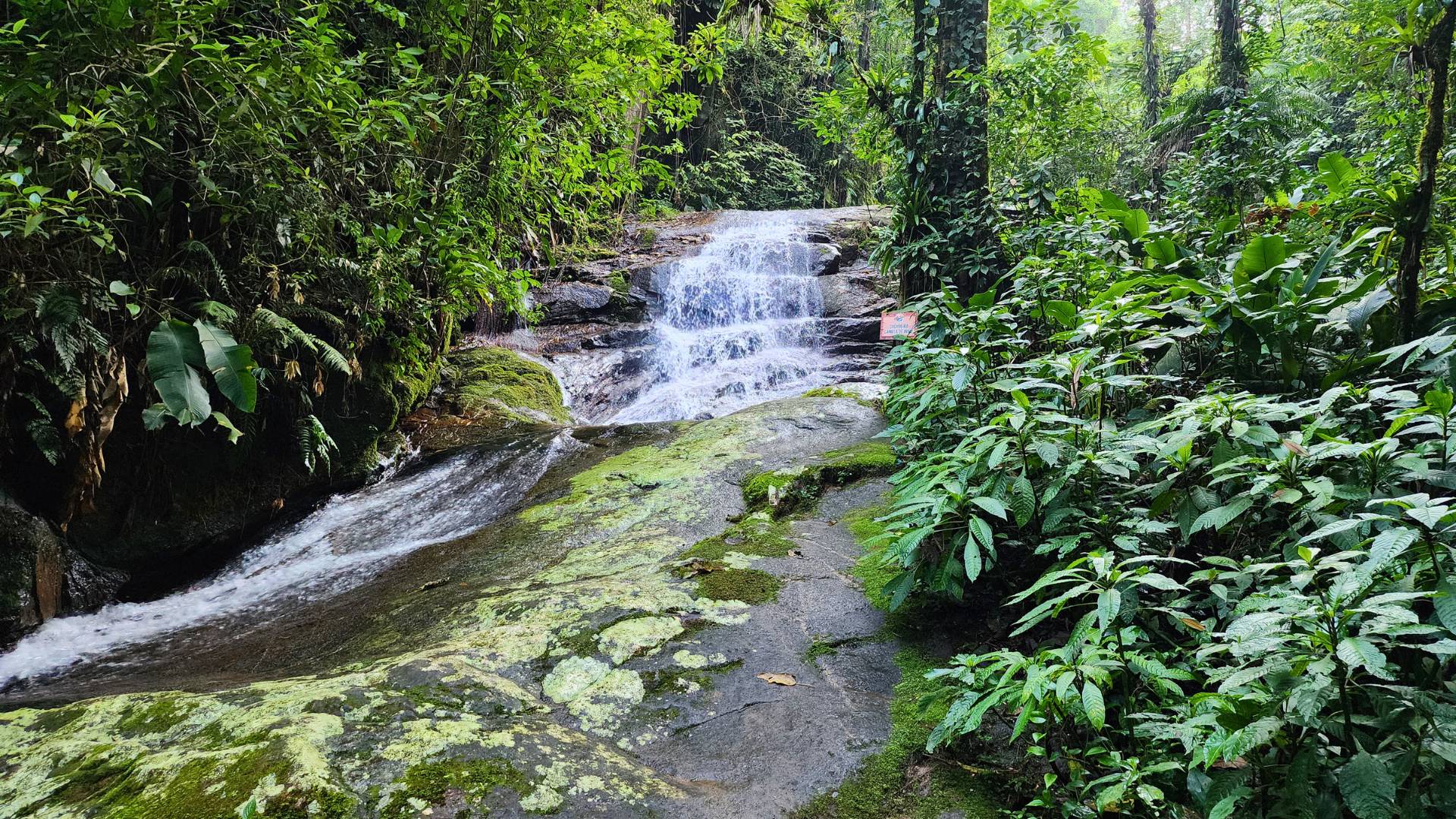 Trilha da Natureza em Pomerode 8 cascata hornburg • Rota dos Viajantes