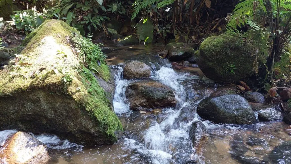 Trilha da Natureza em Pomerode 2 corredeira trilha pomerode 1024x576 1 • Rota dos Viajantes