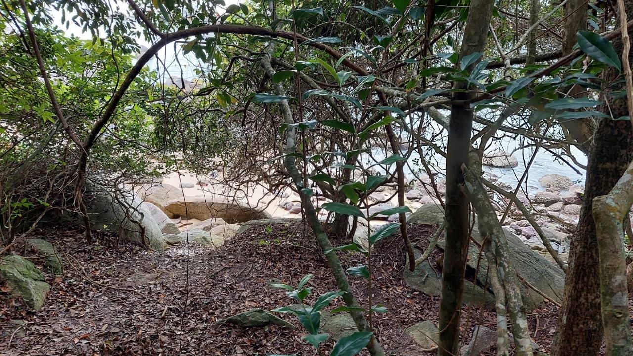 Trilha da Costeira de Zimbros em Bombinhas 10 outras praias • Rota dos Viajantes
