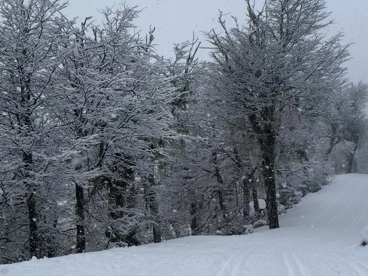Bariloche na Neve: 5 Motivos para Escolher Este Destino de Inverno 1 Bariloche na Neve