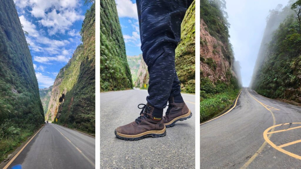 Explore Santa Catarina: Aventura, Cultura e Beleza Natural 1 compilado corvo branco