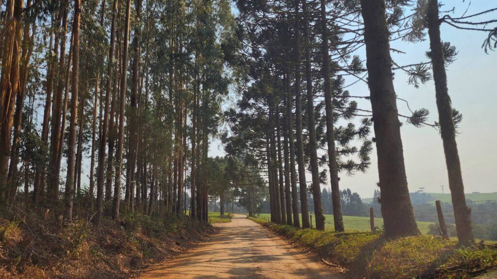 estrada bituva &bull; Rota dos Viajantes