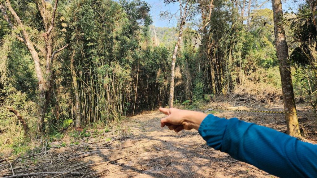 Vale do Bituva: Atrações com a Natureza em Rio Negrinho 2 trilha principal • Rota dos Viajantes
