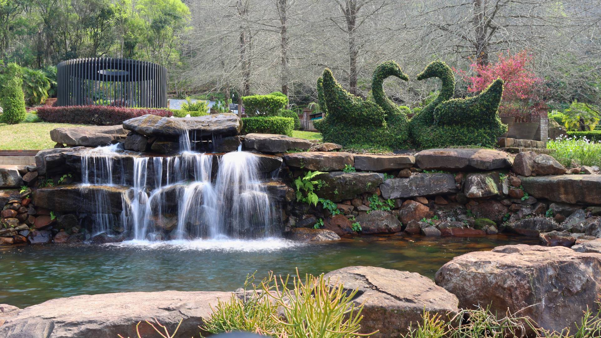 Garden Park Gramado: Um Refúgio Natural e Inspirador na Serra Gaúcha