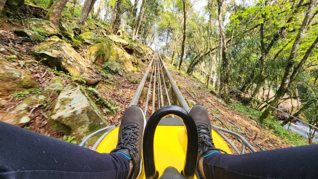 Descubra a Magia e Aventura do Alpen Park em Canela 2 Trenó Alpen Park