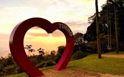 Parque Freymund Germer: refúgio natural no Morro Azul