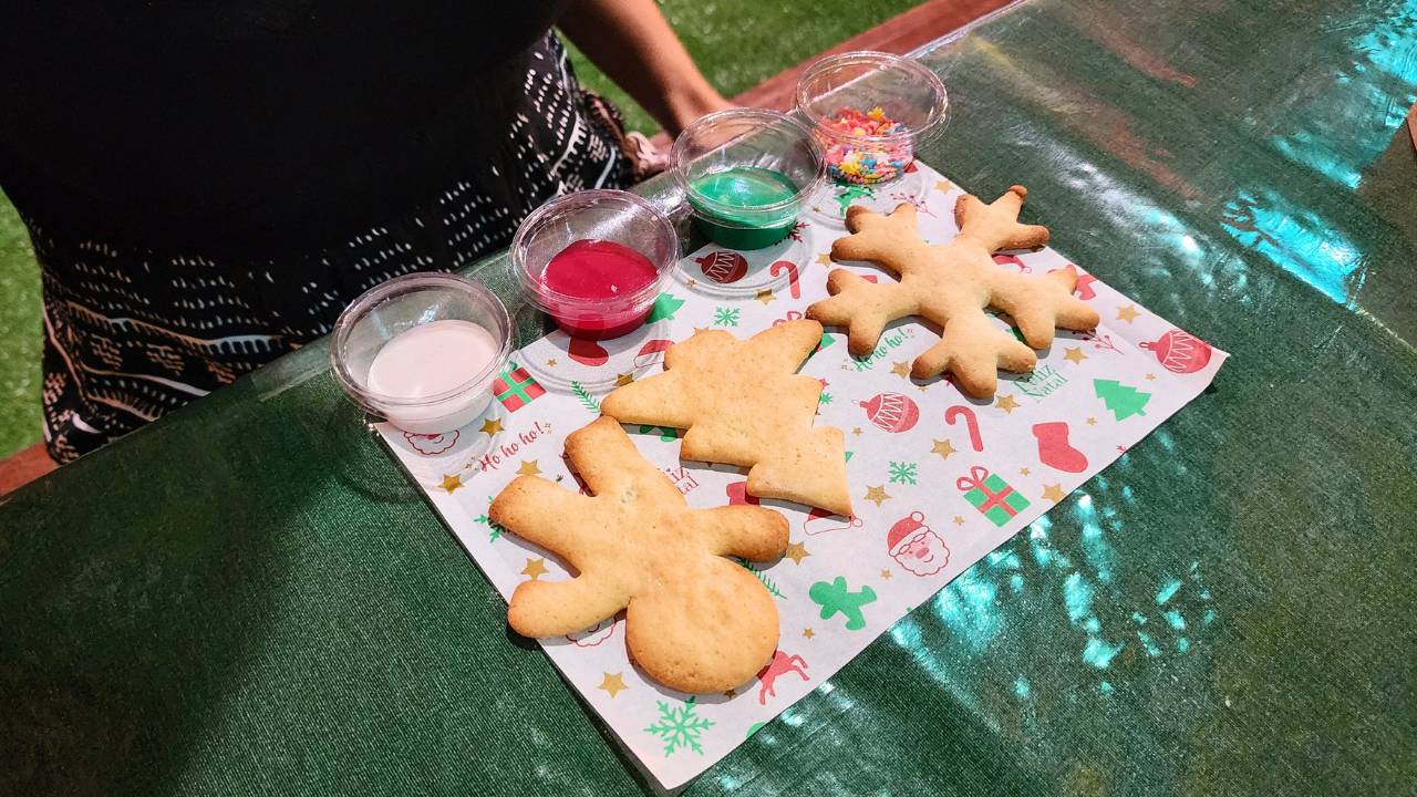 Descubra a Magia do Natal em Blumenau! 4 bolachas natal em blumenau • Rota dos Viajantes