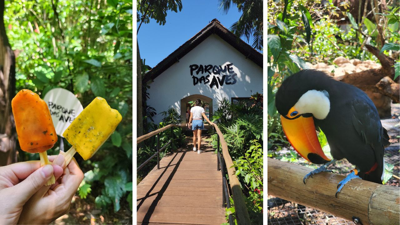 Planeje seu Roteiro de Viagem com Guias Completos 6 parque das aves foz do iguaçu