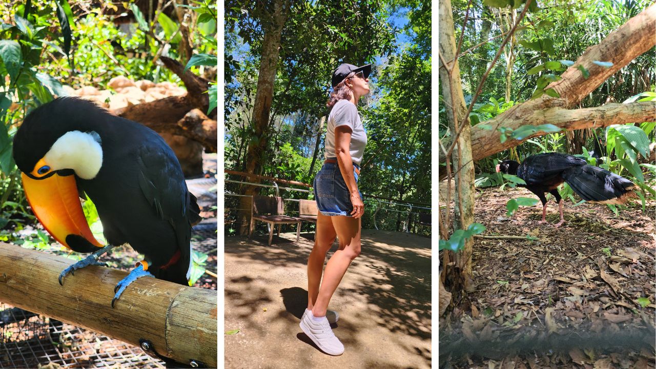 arara parque das aves &bull; Rota dos Viajantes