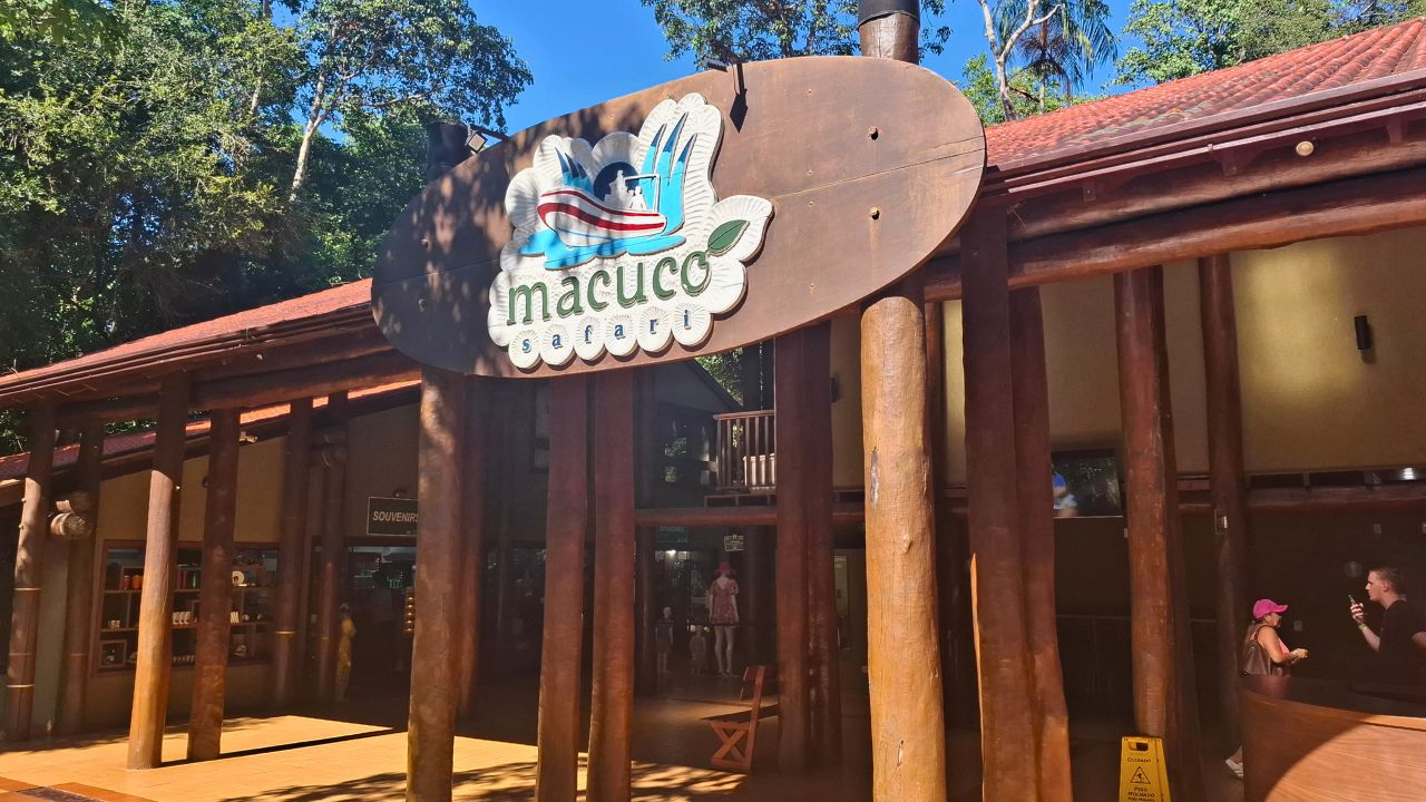 Macuco Safari: Como Funciona e Vale a Pena? 1 entrada macuco safari • Rota dos Viajantes