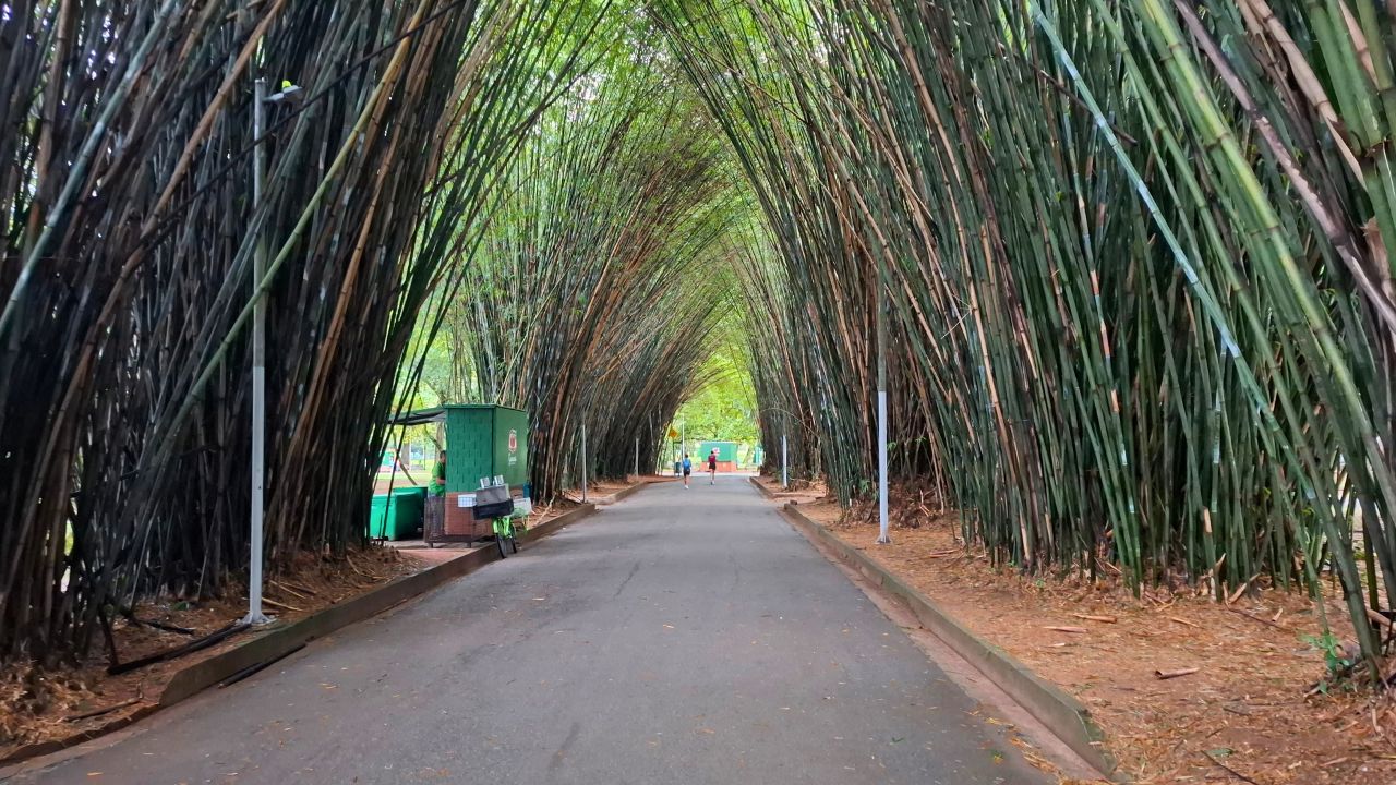 Planeje seu Roteiro de Viagem com Guias Completos 39 parque ibirapuera são paulo