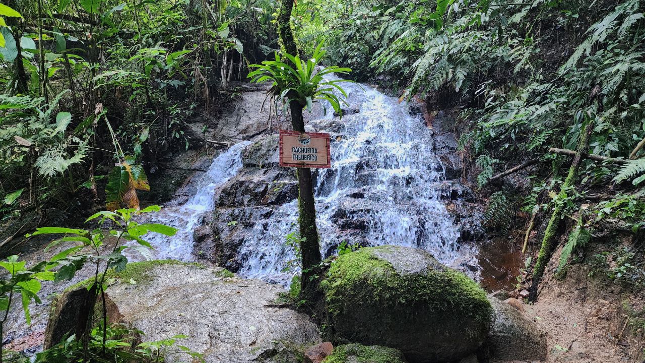 O que Fazer em Pomerode: Guia da Cidade Alemã 2 trilha da natureza pomerode • Rota dos Viajantes