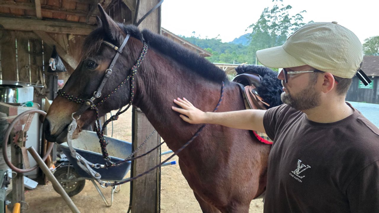 cavalos sitio lenz jaragua &bull; Rota dos Viajantes