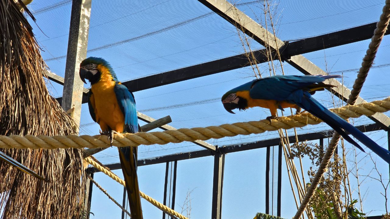 refugio das aves &bull; Rota dos Viajantes