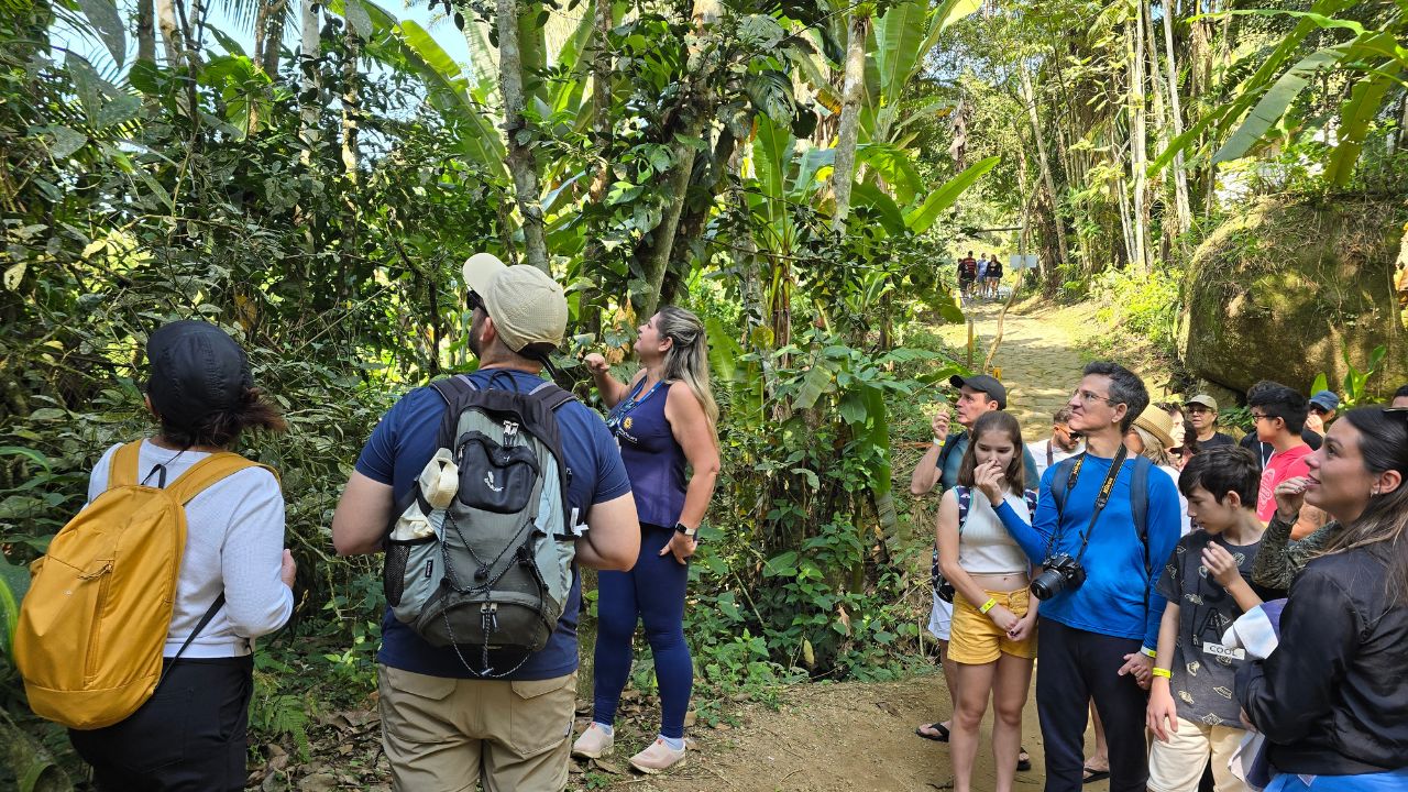 Jeep Tour em Paraty: como é o passeio de jipe 4x4 2 trilha jeep tour paraty • Rota dos Viajantes